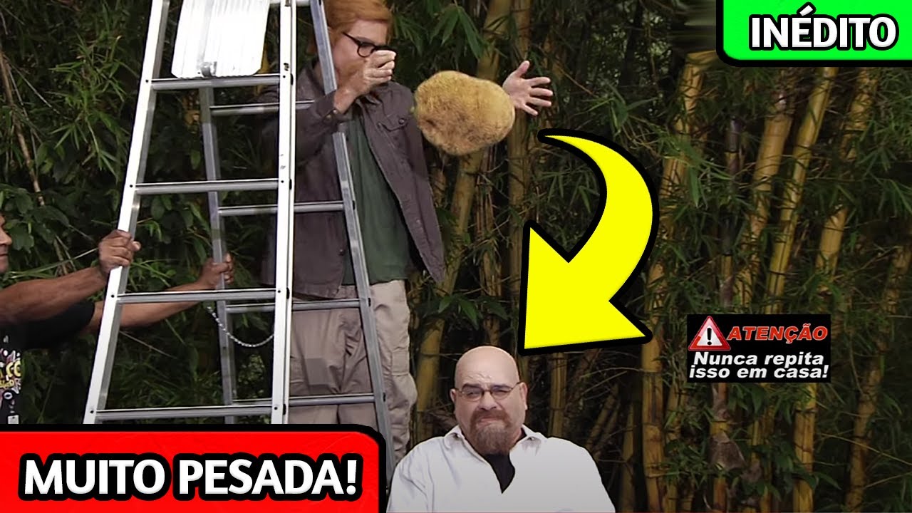 BOLINHA JOGOU UMA JACA NA CABEÇA DO BOLA | Verdade ou Mito - Ep. 03