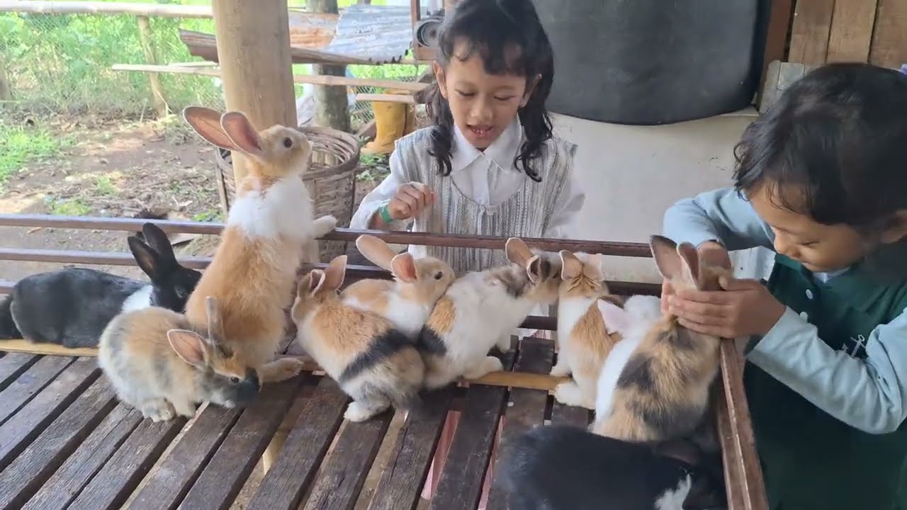 Cerita Kina & Lila - Wisata Dusun & Kuliner