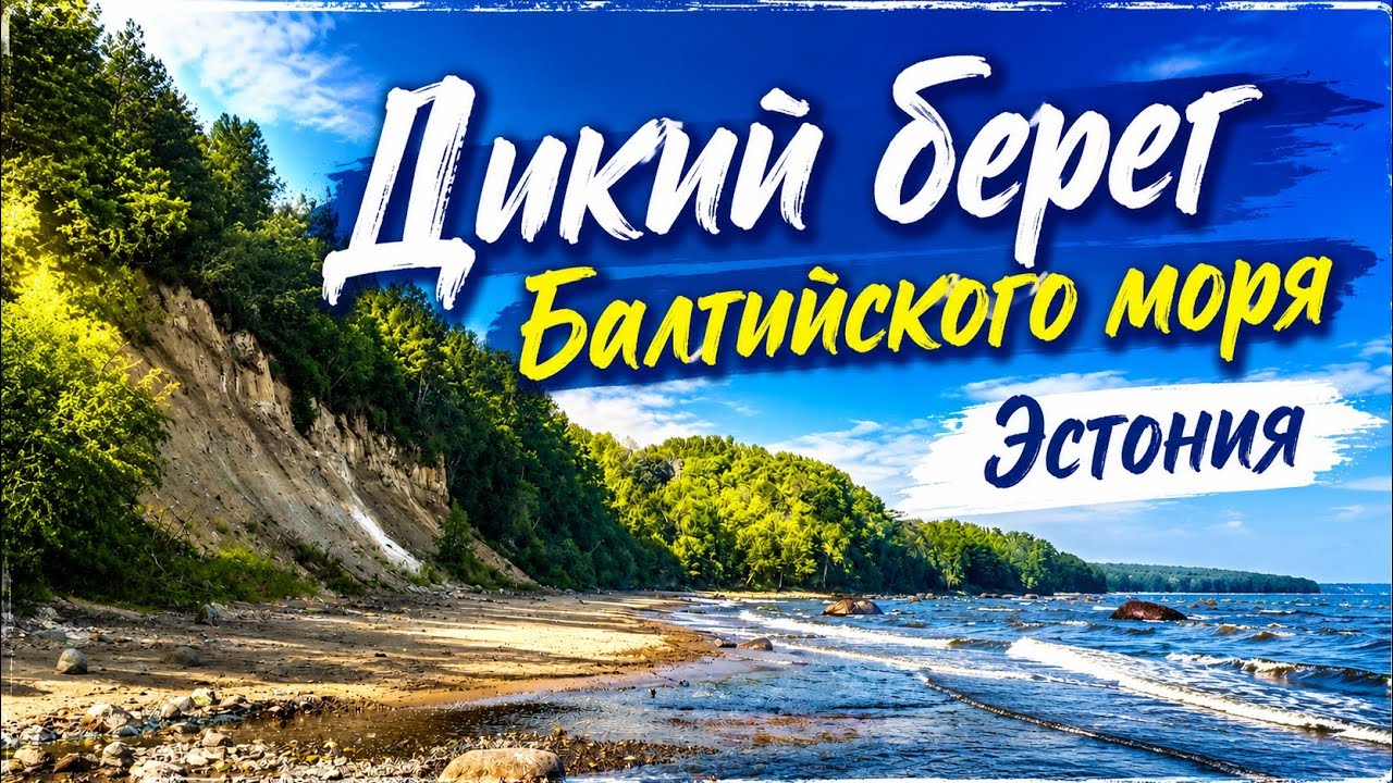 Дикий берег | Балтийское море | Эстония | Уединенный отдых на Балтийском море | Ида-Вирумаа, Эстония