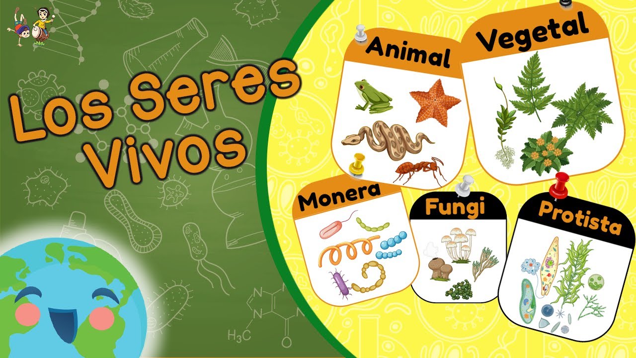 Seres Vivos - La Clasificación de los Seres Vivos - 5 Reinos (Video Educativo para Niños)