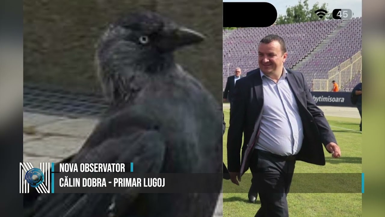 CONSULTANȚĂ PENTRU CIORI LA LUGOJ: ÎN SFÂRȘIT BANII PUBLICI ZBOARĂ SPRE CE CONTEAZĂ CU ADEVĂRAT