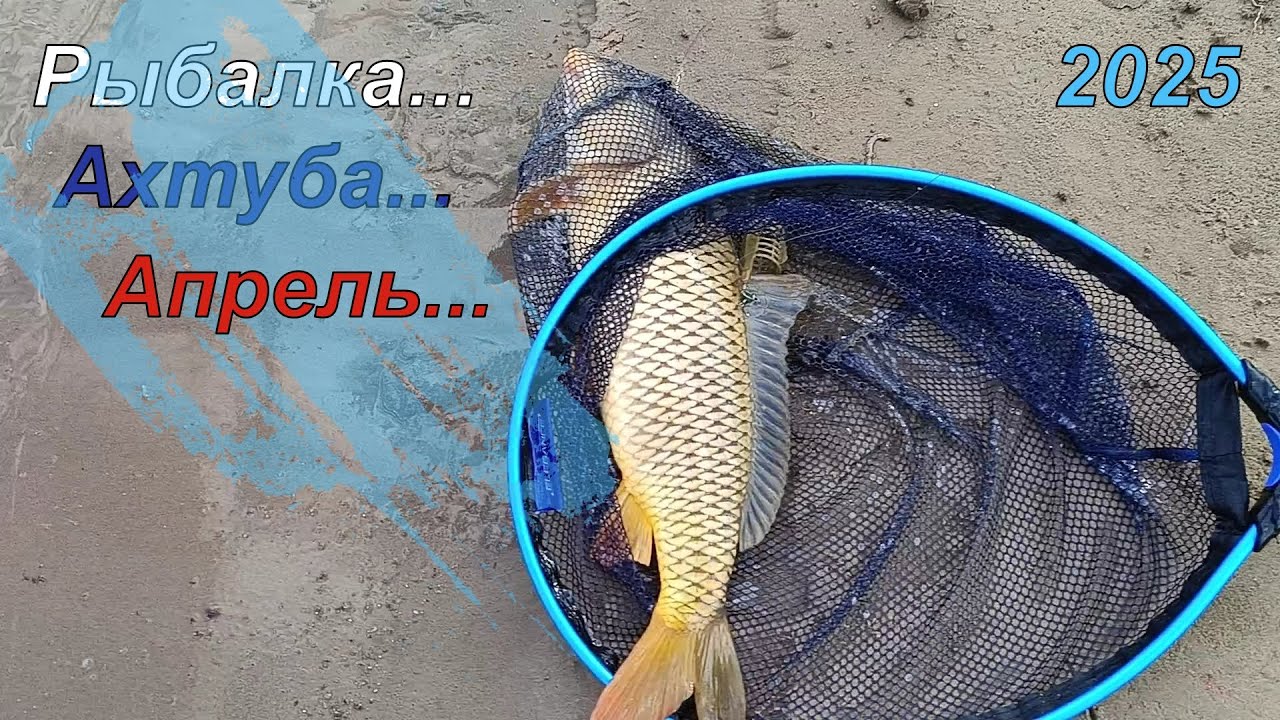 Весенняя рыбалка на реке Ахтуба. Апрель 2025.