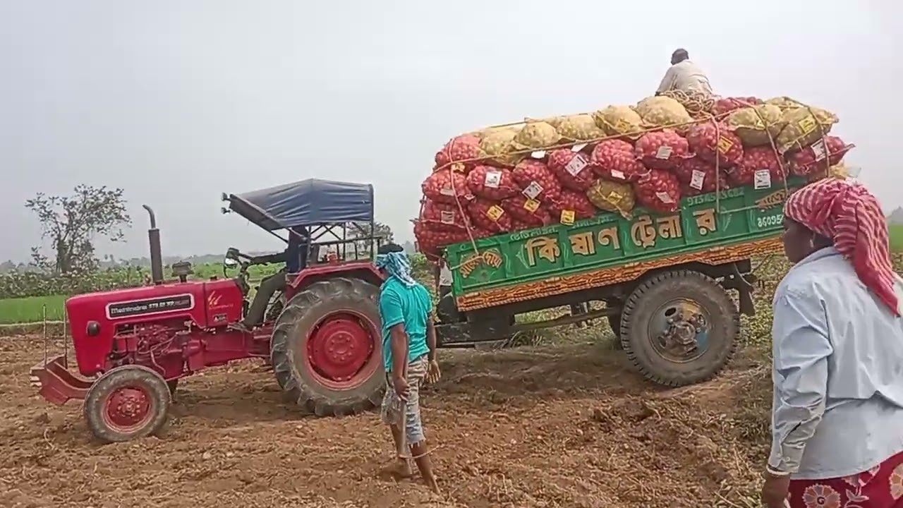 Mahindra 575di XP plus ##mihindra #farming #farmer 