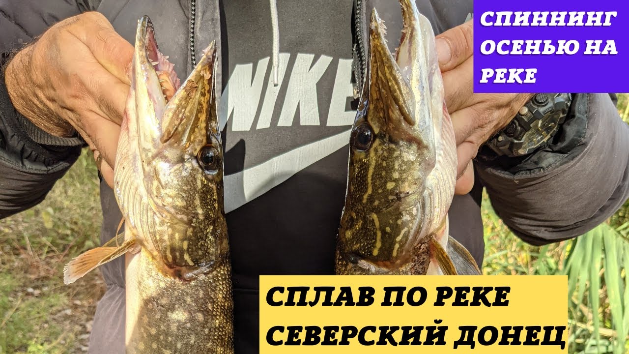 Ловля щуки на СПИННИНГ с лодки. Река Северский Донец.