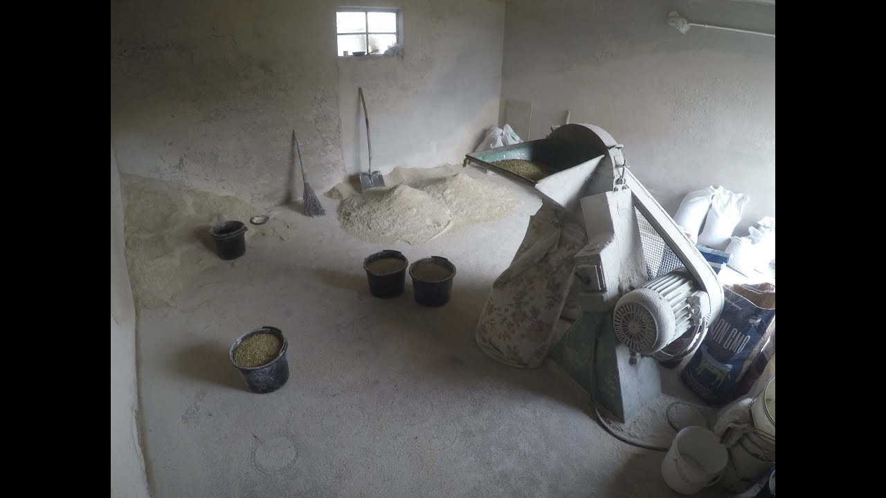 VLOG #22 Przy śrutowaniu o świniach, zapasach zboża i starym śrutowniku