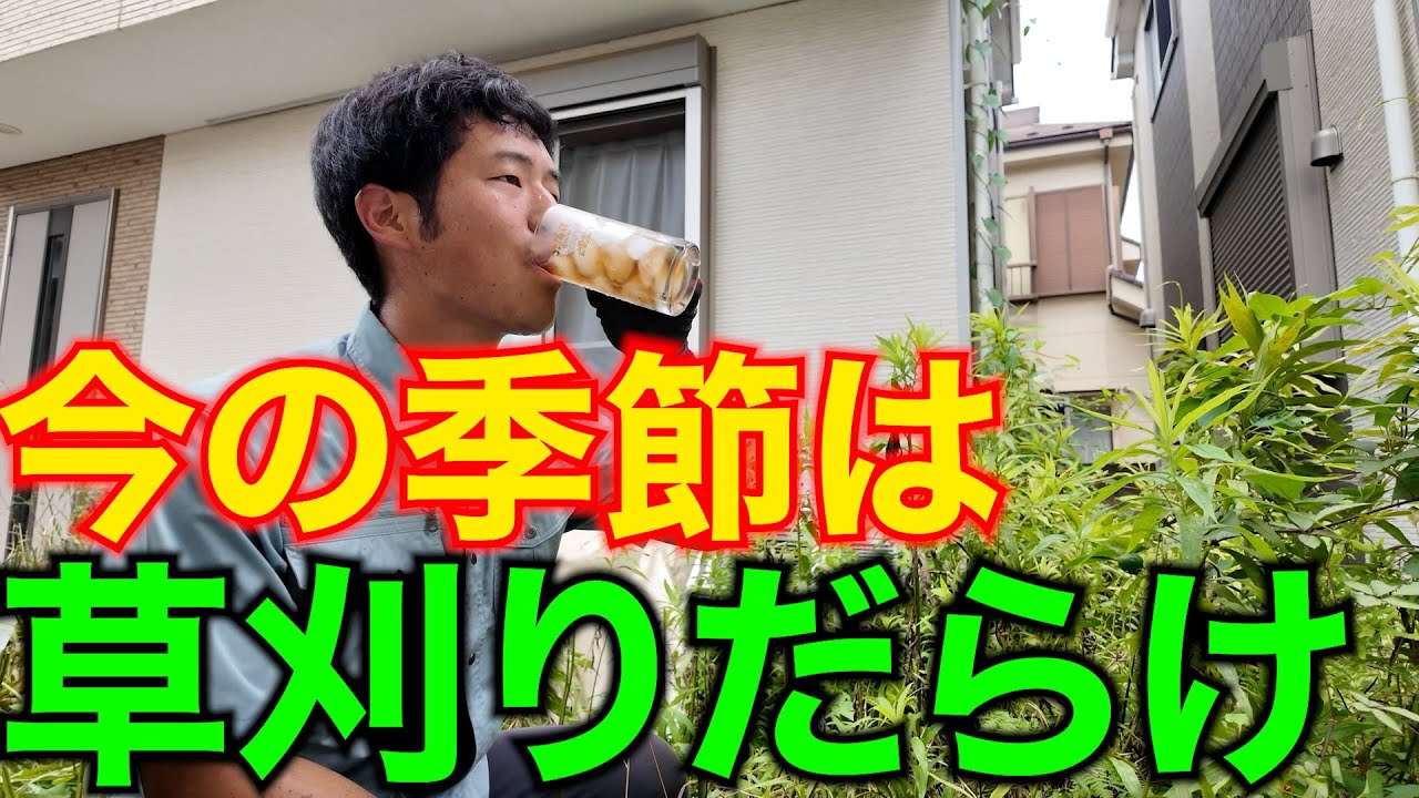 忙しい中でも新たな試みをする便利屋の日常