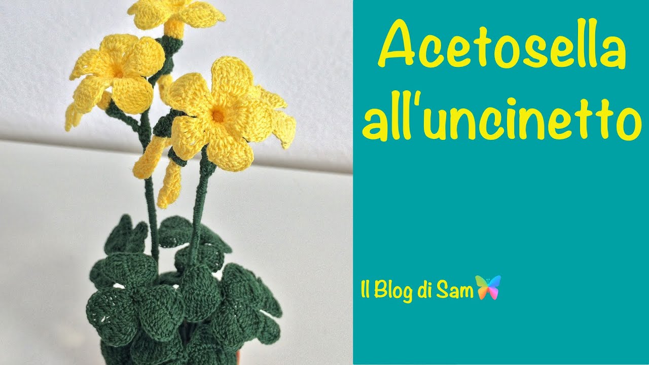 Spiegazione della Acetosella all'uncinetto
