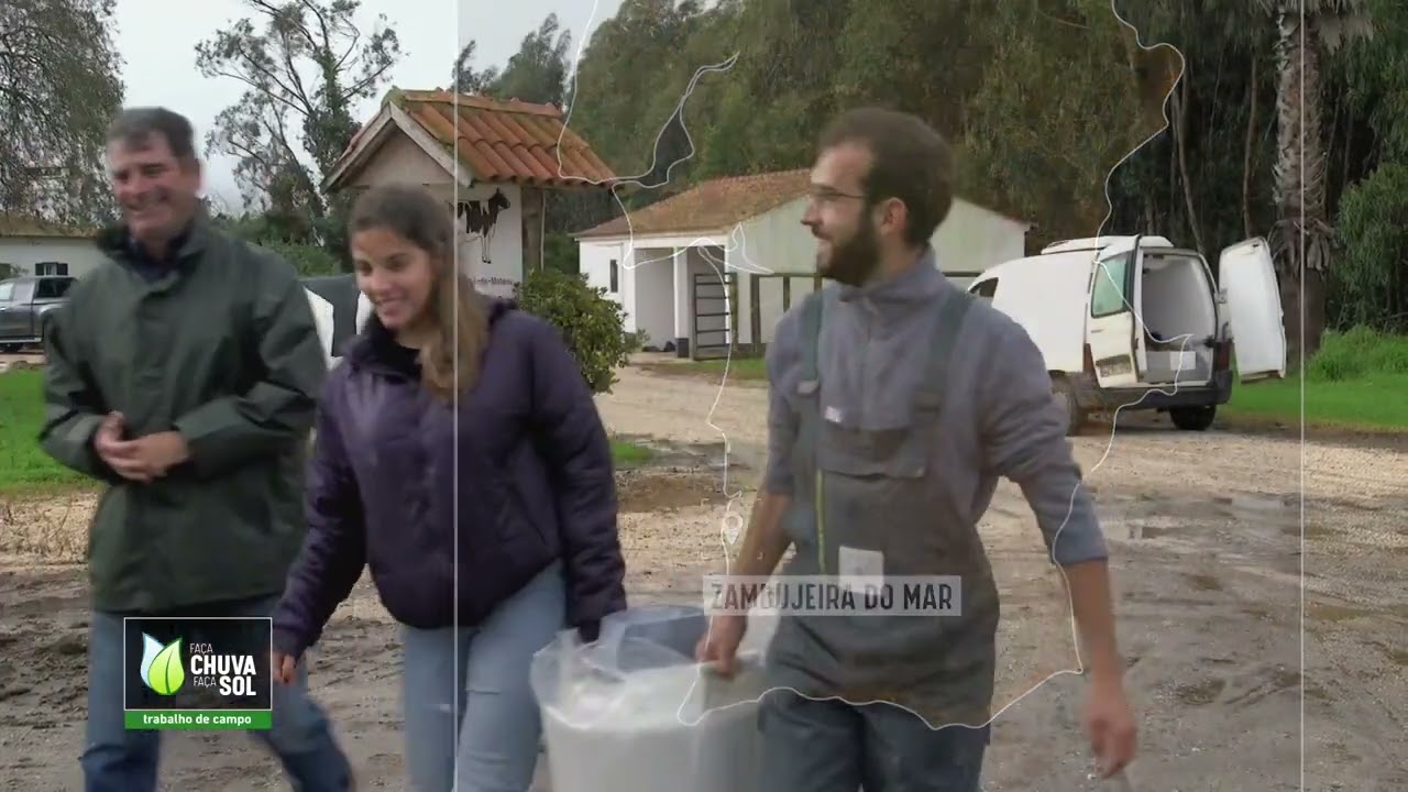 Reportagem Fa&ccedil;a Chuva Fa&ccedil;a Sol sobre a ra&ccedil;a de bovino algarvia
