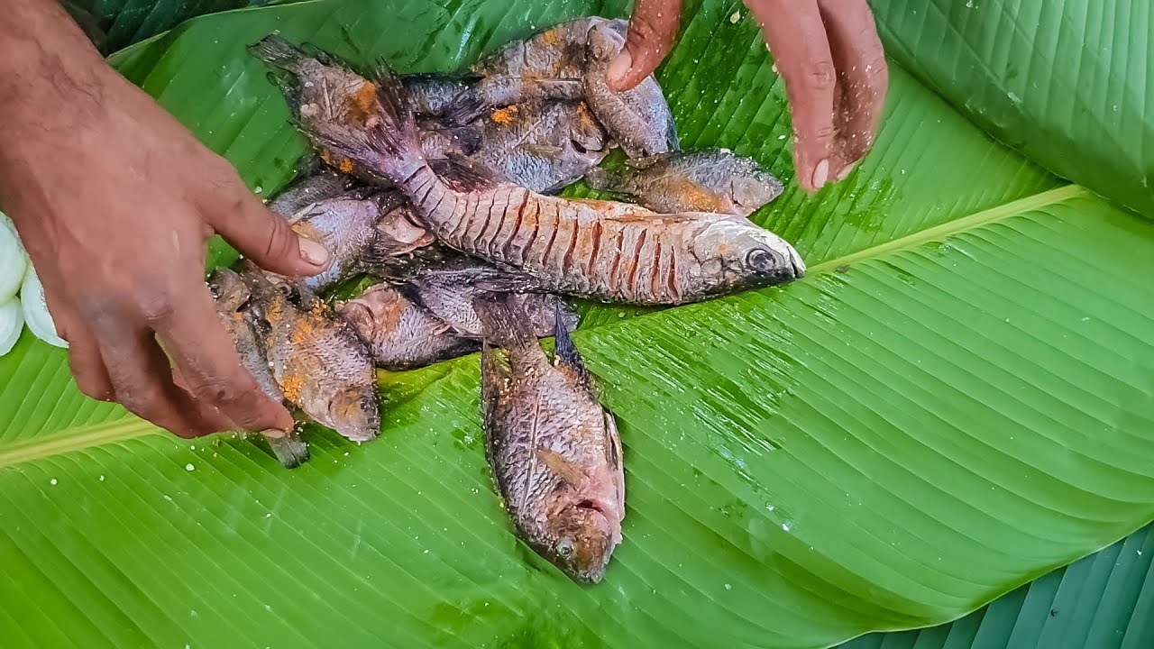 Receta de Pescado al Estilo Maya Pesca y Cocina