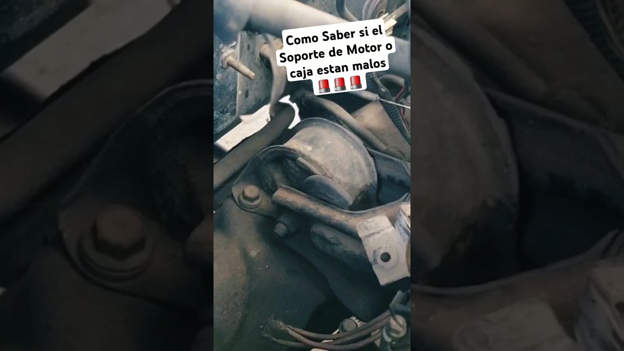 Prueba Soporte de Motor o Caja Malos // Asi sabras si tienes soportes de motor o caja malos