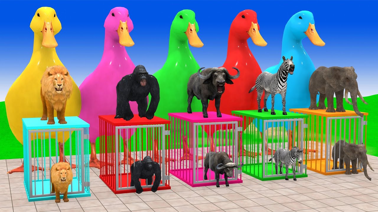 Long Slide Game With Cow Elephant Gorilla Hippopotamus Tiger 3d Animal Game Funny 3d Animals