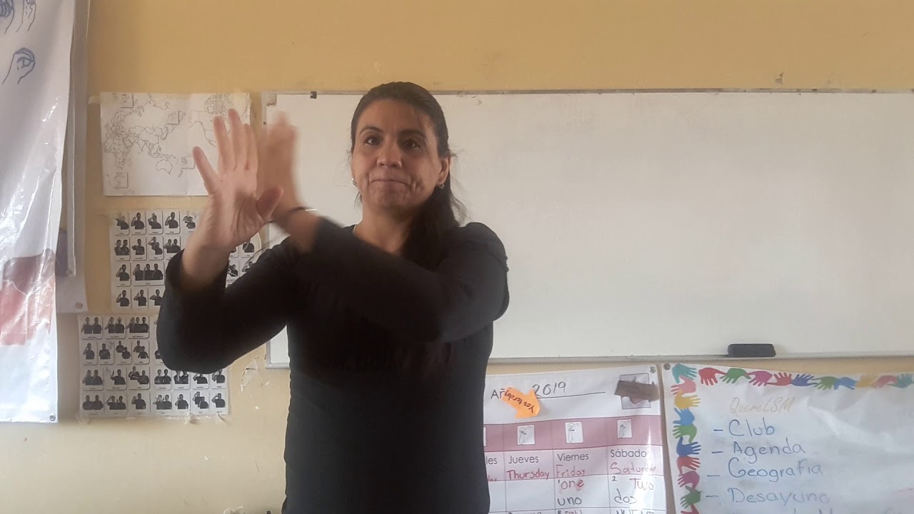 Juego de atención  visual para niños Sordos 2