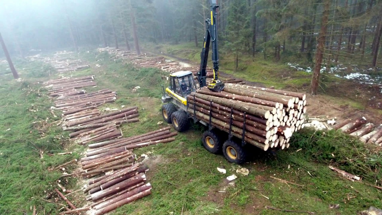 Ponsse Elephant Zrywka kłody Nie ursus, mtz, palms