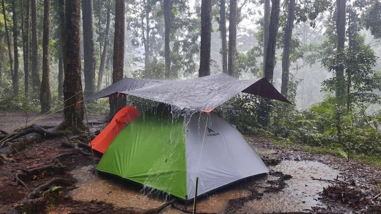 NOT SOLO CAMPING &bull; CAMPING AND SLEEPING IN THE RAIN &bull; RELAX IN COSY TENT &bull; ASMR