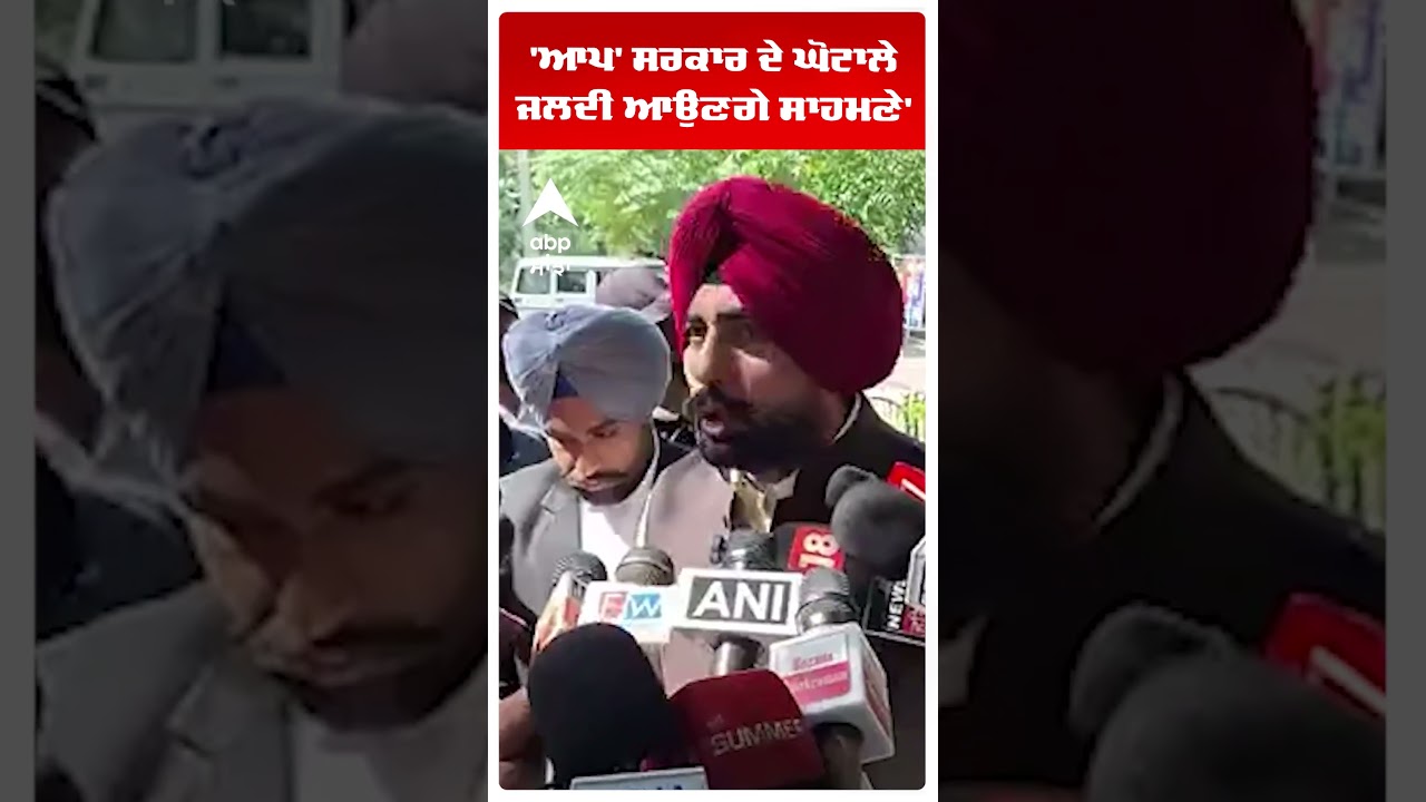 Akali Dal | 'ਆਪ' ਸਰਕਾਰ ਦੇ ਘੋਟਾਲੇ ਜਲਦੀ ਆਉਣਗੇ ਸਾਹਮਣੇ'  | Abp Sanjha | Shorts