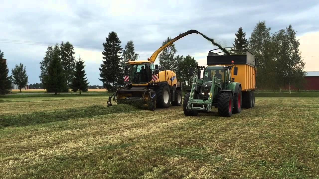 Rehuntekoa 26.8.2015