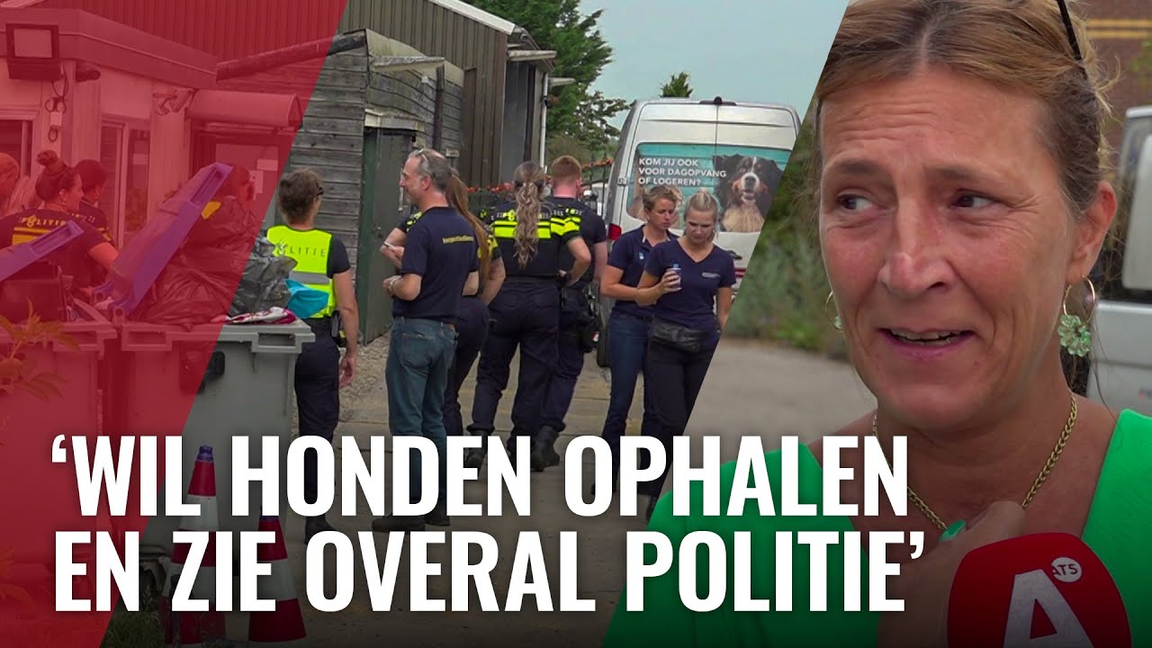 Opnieuw misstanden dierenhotel in Osdorp