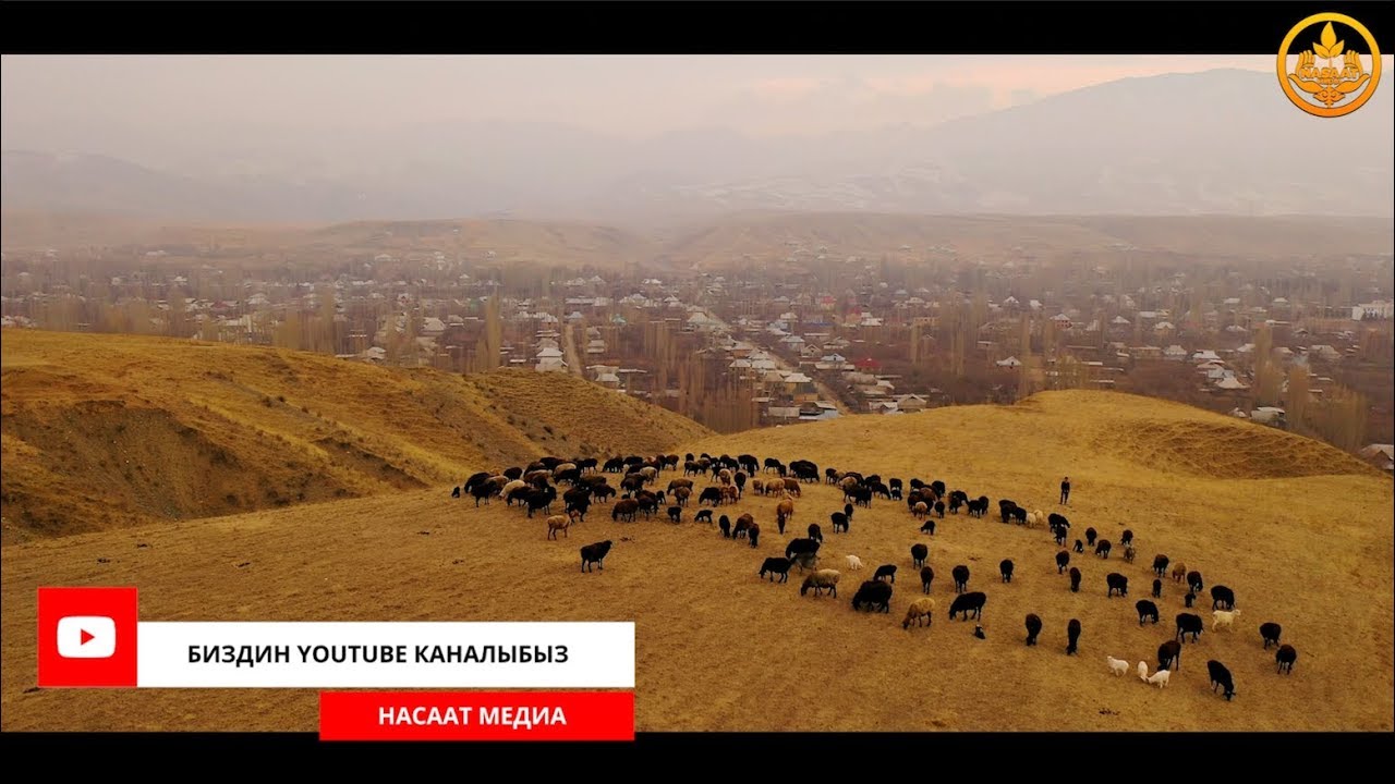 ЫРЫСКЫ маселеси. Эркектерге сабак. Шейх Чубак ажы. Ош обл. Ноокат р-ну. Кожо Арык айылы 12 12 2019