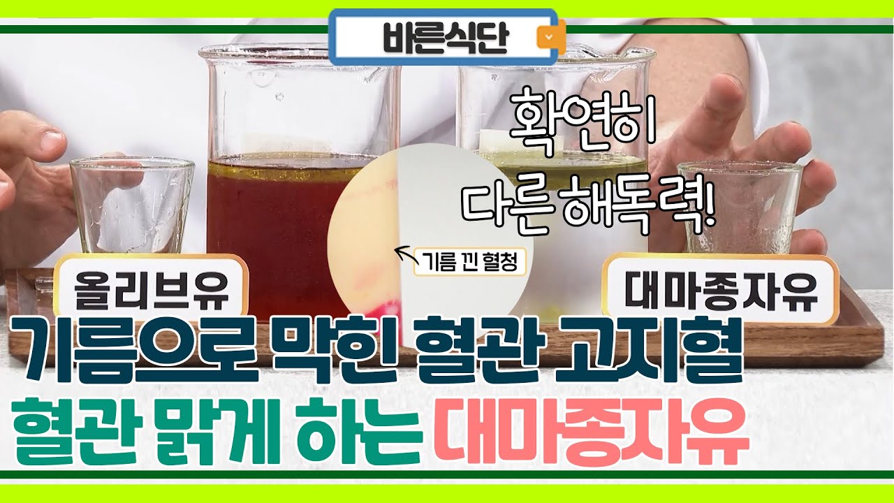 혈관 속 뭉친 기름 고지혈, 혈관 맑게 해주는 대마종자유!