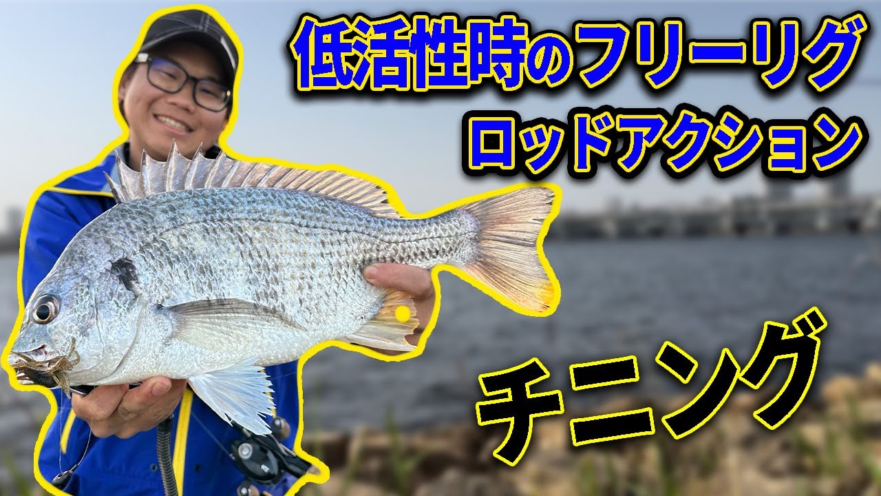 【チニング】低活性時のフリーリグロッドアクション
