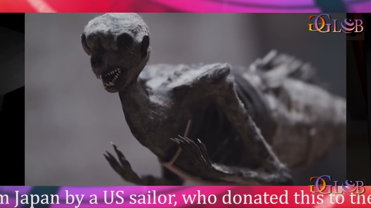Radiology experts try to solve the mystery behind &lsquo;Fiji Mermaid&rsquo;