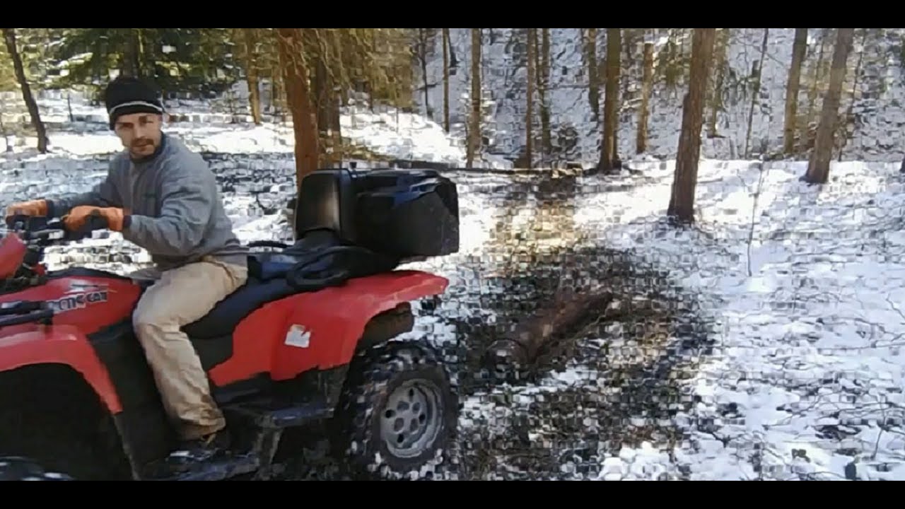 Zrywka drzewa arctic cat 700 diesel. Quad 700 diesel. Ściąganie drewna quadem.