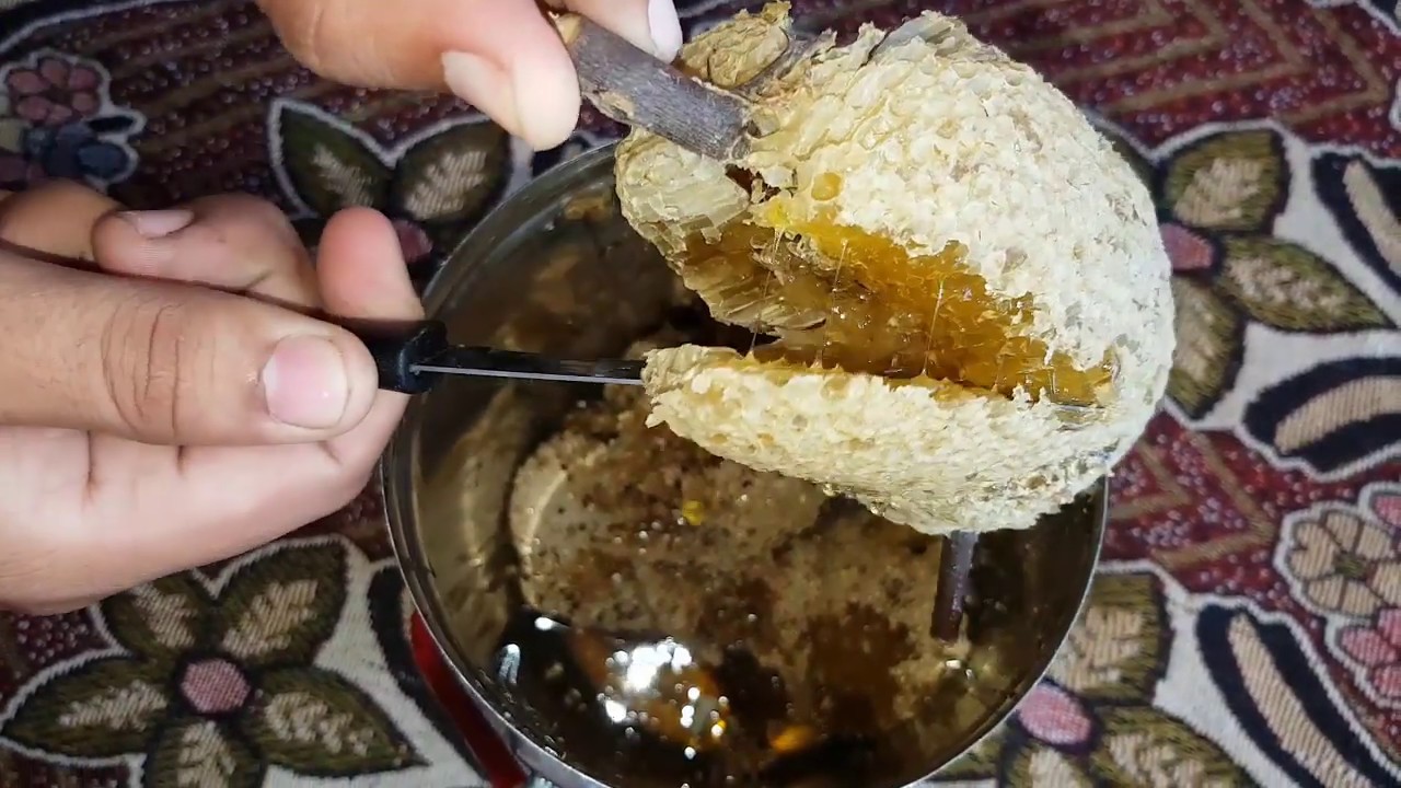 #Satisfying #beekeeping #honeycomb 😍🍯SATISFYING HONEY EXTRACTION COMPILATION