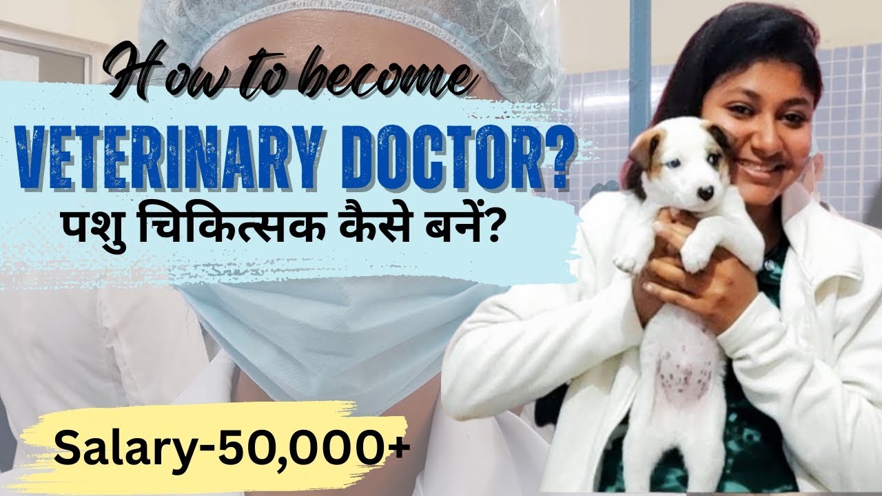 पशु चिकित्सक कैसे बनें?|How to become Veterinary Doctor|Full details|Vetsdiary