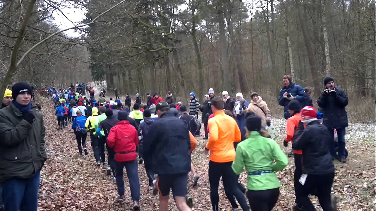 48. Bergedorfer Crosslauf