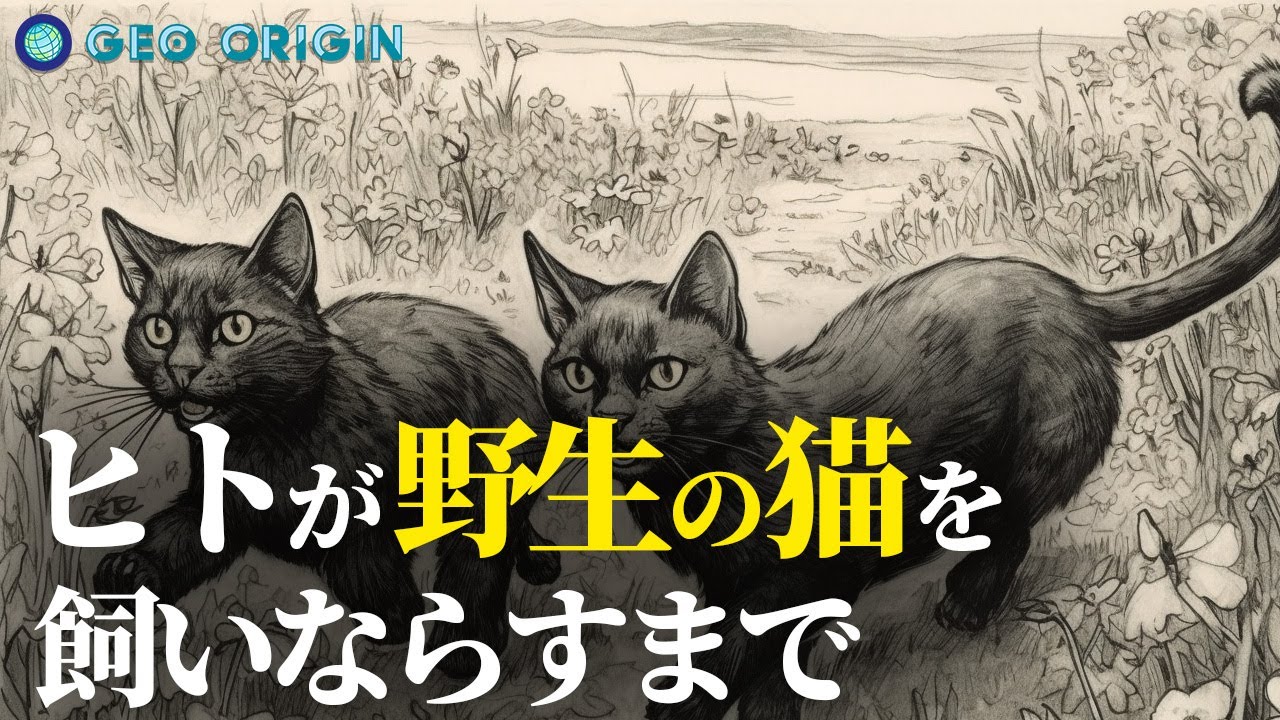 我々の先祖と猫が仲良くなるまで
