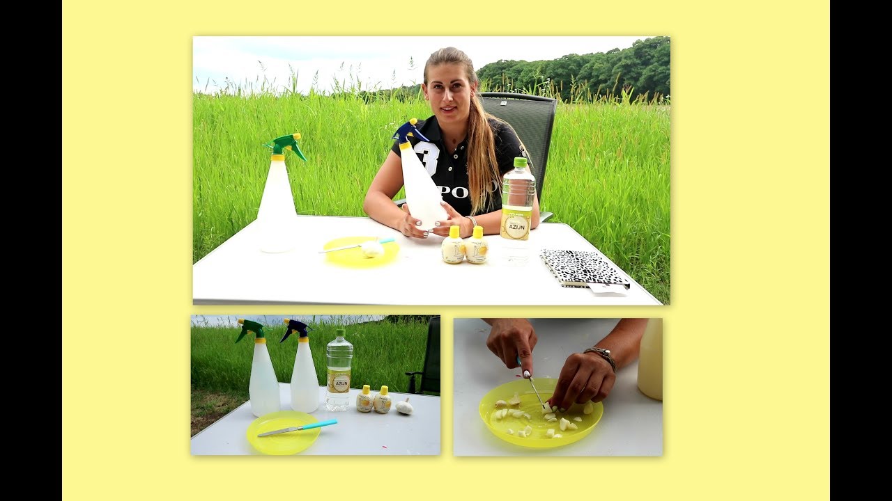 DIY || Vliegen spray voor maar €3,- euro!
