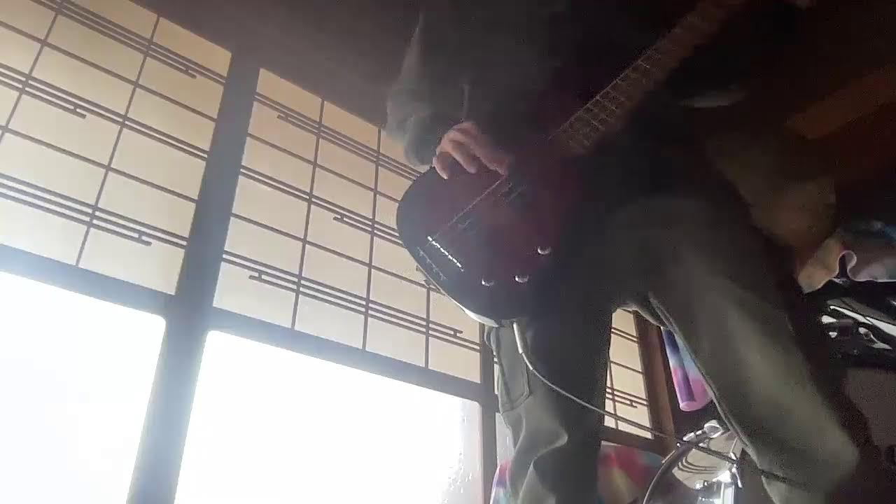 朝ライブ