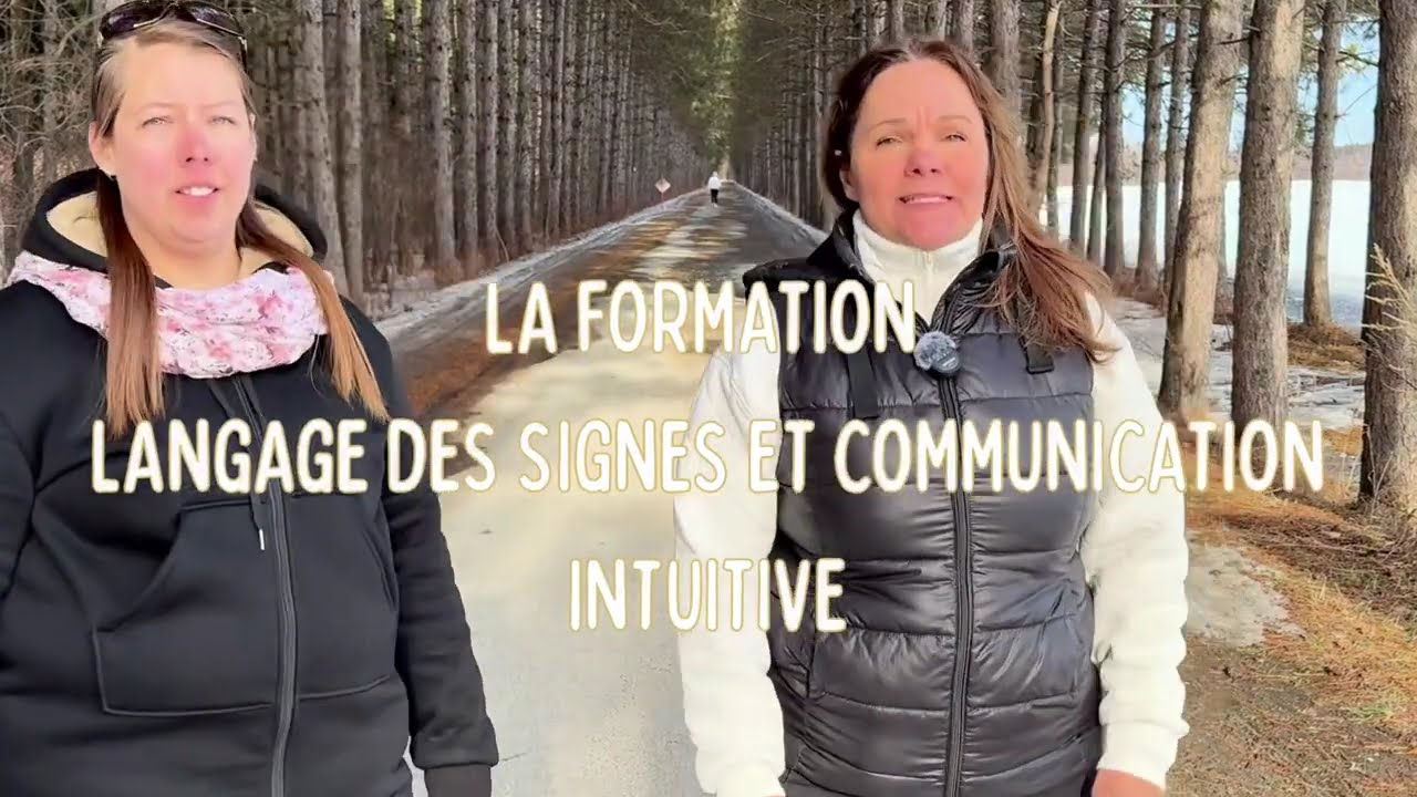 Formation LSCI - Présentation