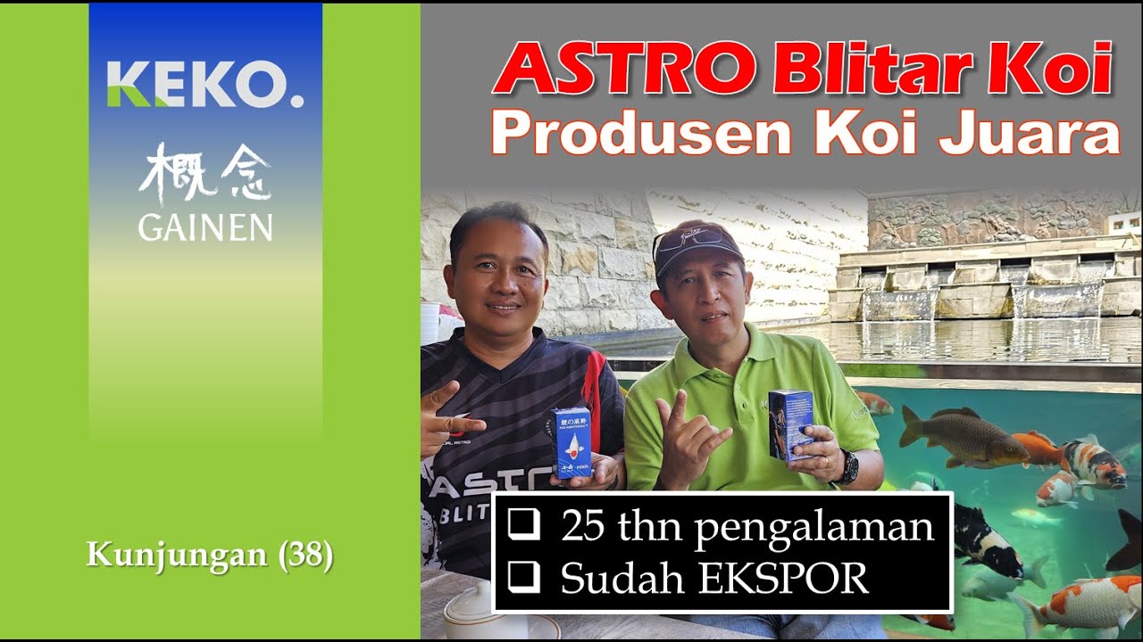 Pencetak KOI JUARA | Astro Blitar Koi | Kunjungan (38)