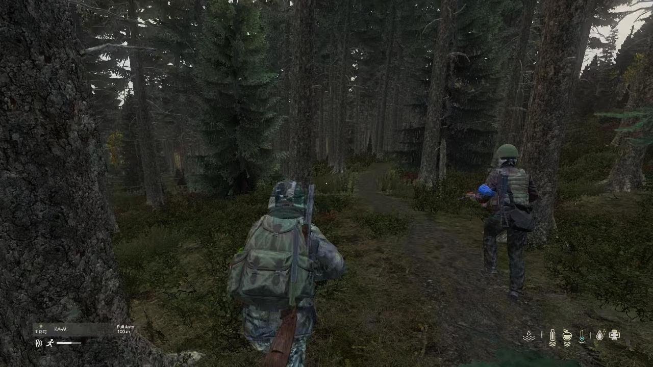 DayZ_20251229202133