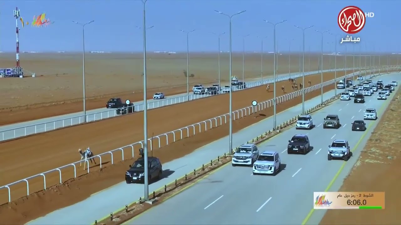 الشوط 2 حيل- عام  مساء يوم  الاربعاء 31-12-2025 من #مهرجان_الملك_عبدالعزيز_للإبل10