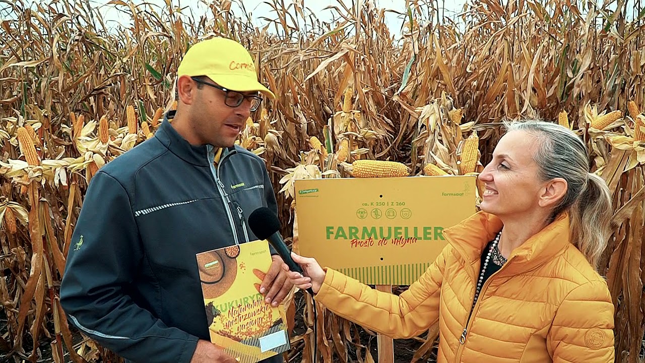 farmsaat Podsumowanie sezonu i propozycje odmian @DniKukurydzy