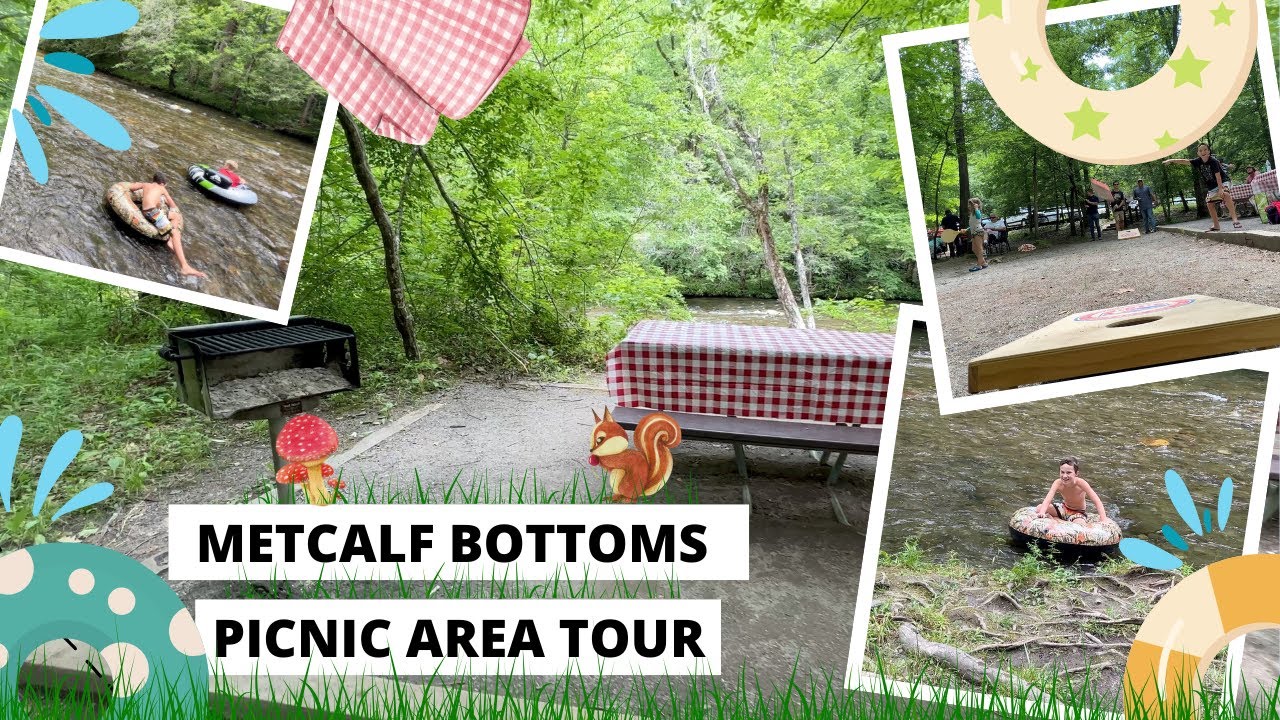 Metcalf Bottoms Picnic Area Tour - Great Smoky Mountains National Park