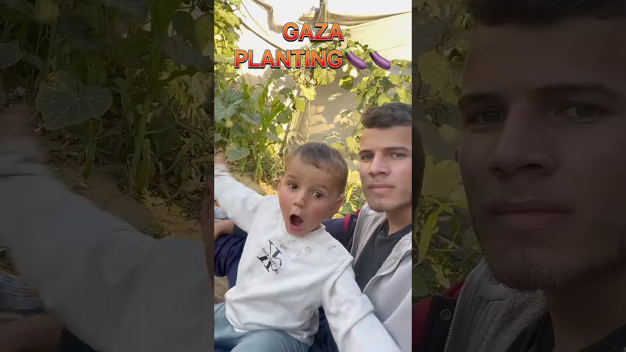 🌱 Planting eggplant seeds next to the tent! #gaza # Palestine #home #hope #fyp #trend #shorts #love