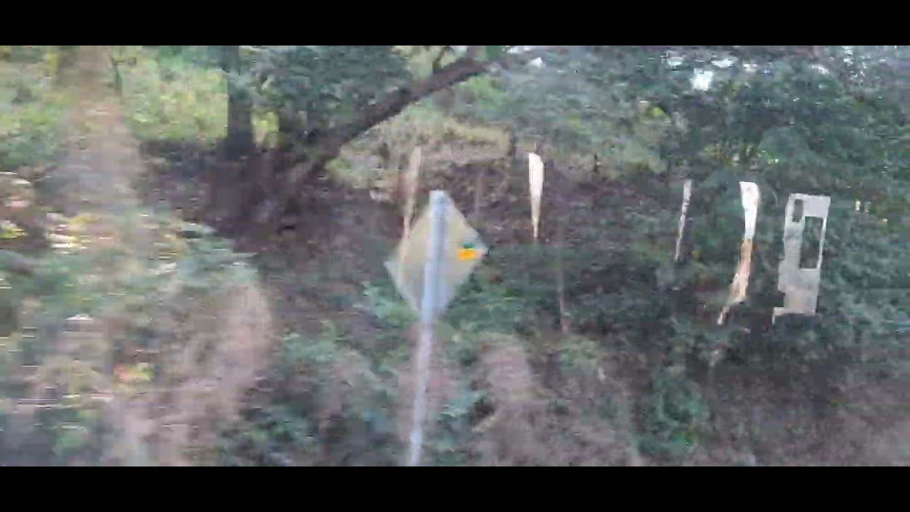 VIAJANDO EN SUR DE JALISCO POR PIHUAMO parte 3