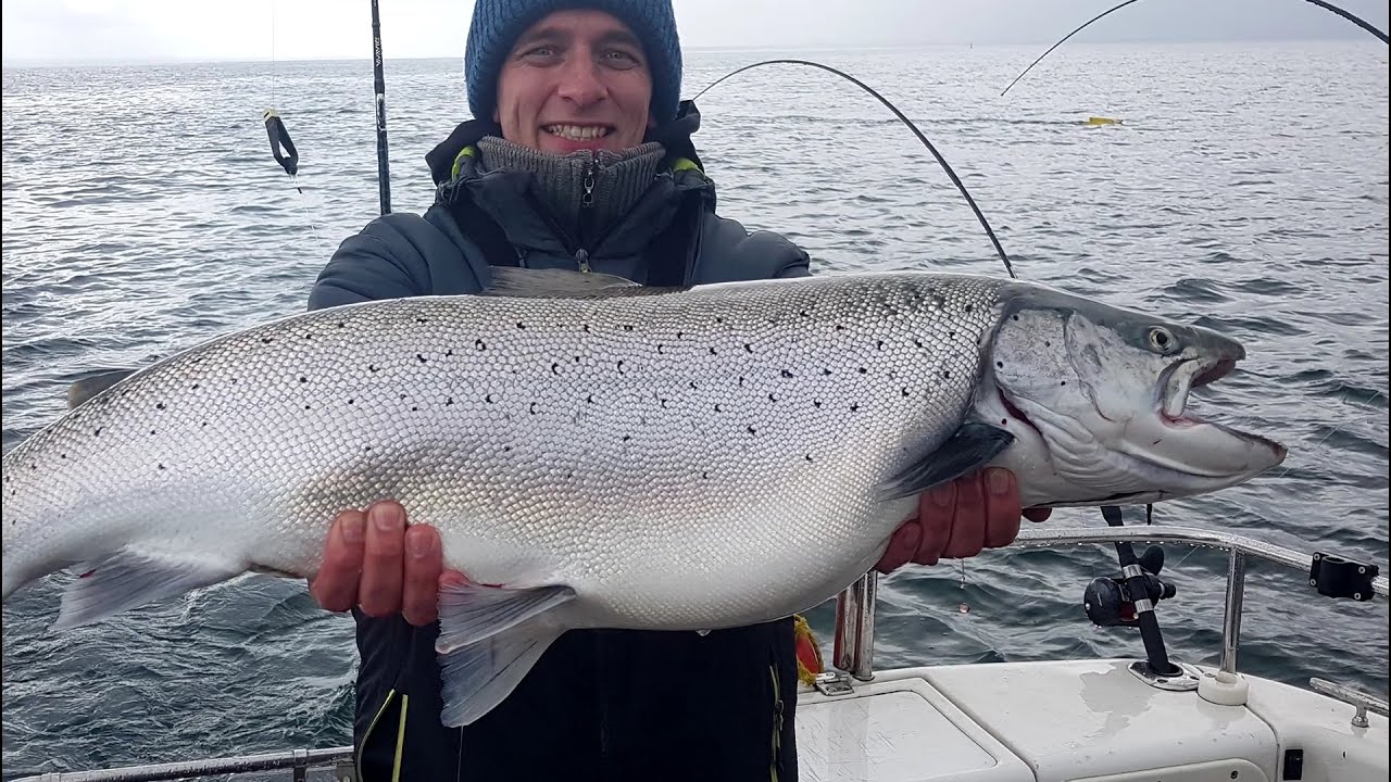 Gigantyczna troć 93cm, wyprawa na łososie z Marinero
