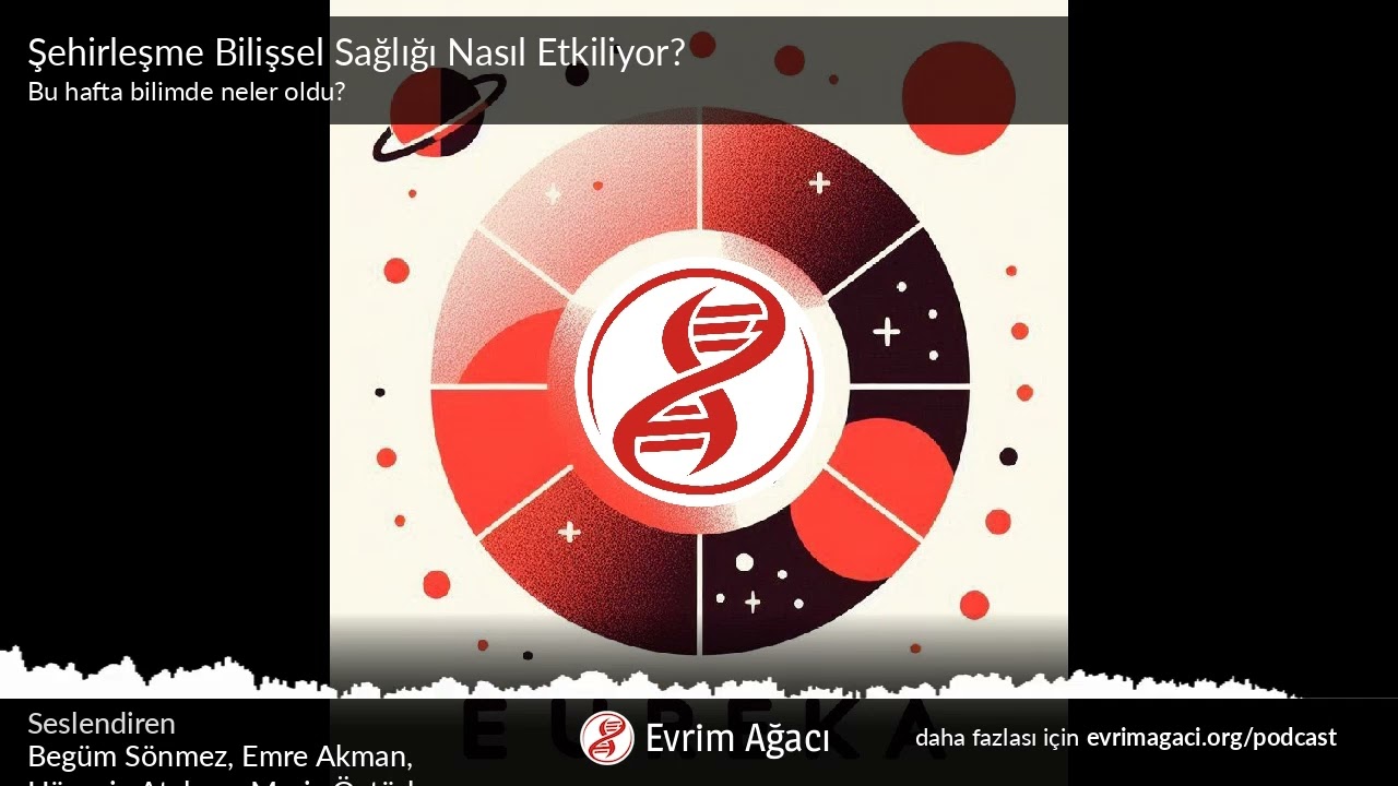Şehirleşme Bilişsel Sağlığı Nasıl Etkiliyor?