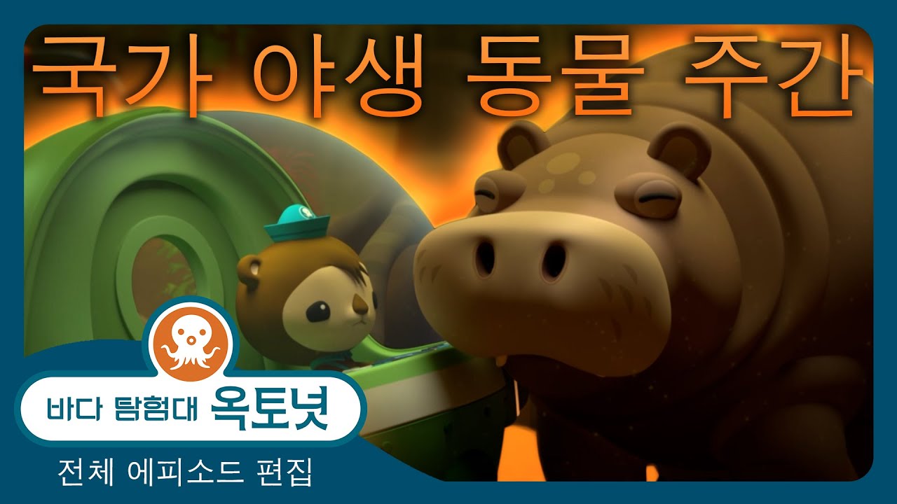 바다 탐험대 옥토넛 - 🦎 야생을 탐험해요! 🦩  - 60분+ 편집 - 모음집