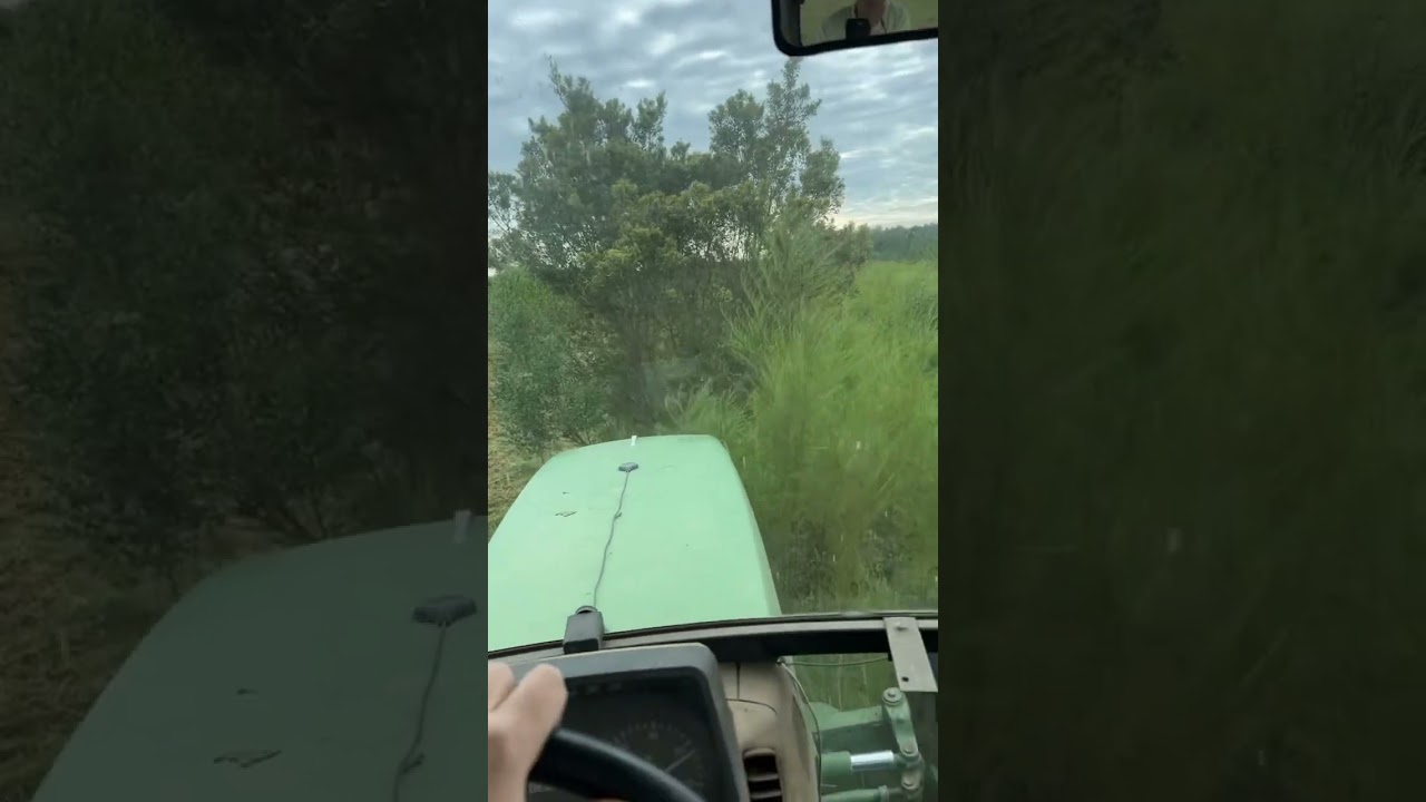 Doing some extreme bush hogging. Video coming soon!