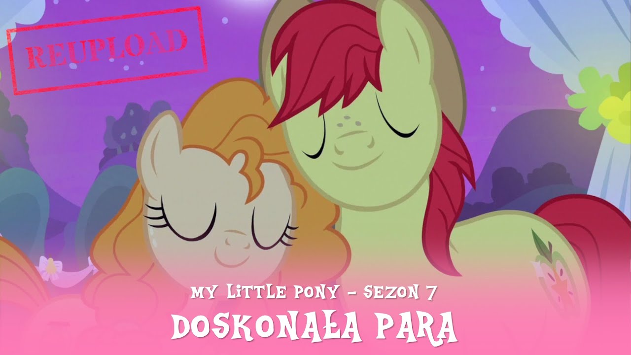 My Little Pony - Sezon 7 Odcinek 13 - Doskonała para [REUPLOAD]