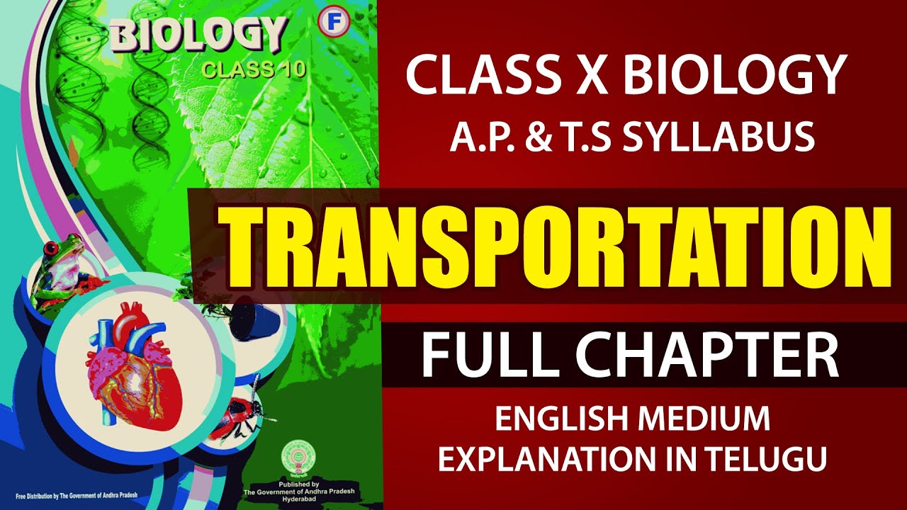 #Transportation Full chapter |10th class biology (N.S) chapter 3| AP & TS syllabus E.M  @EDUSCOPE ​