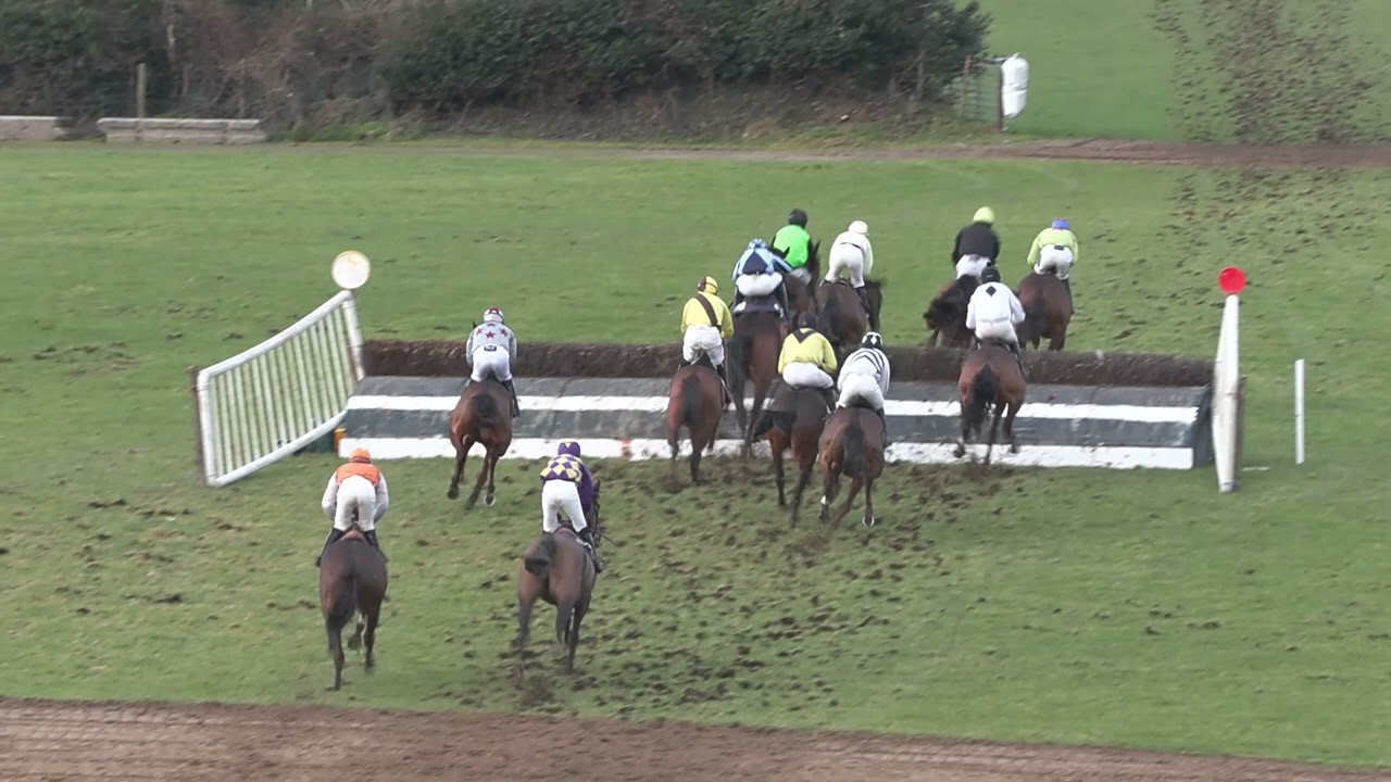 P2P - Tinahely - 10 Jan 26 - R2 Tattersalls Ireland Winter Sale 5yo Geldings Maiden