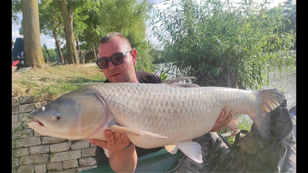 Carp Champions Spod Cup Crni Vir 4. kolo