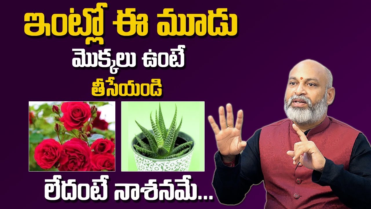 Astrologer Nanaji Patnaik || ఇలాంటి మొక్కలుంటే సర్వనాశనమే || Dharma Sandhehalu || MY DESTINY