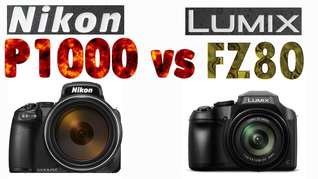 Nikon P1000 vs Panasonic FZ80 4K Super Zoom Bridge Camera Comparison